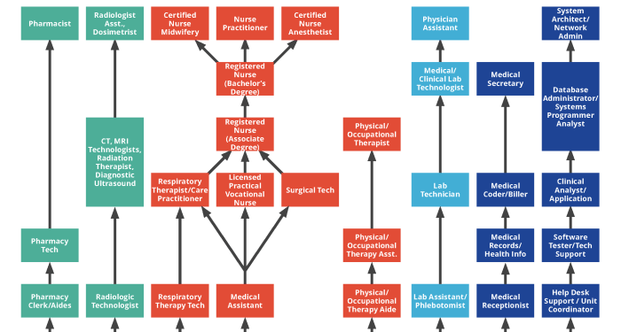 Career Paths in Health Care | Missouri Health Careers
