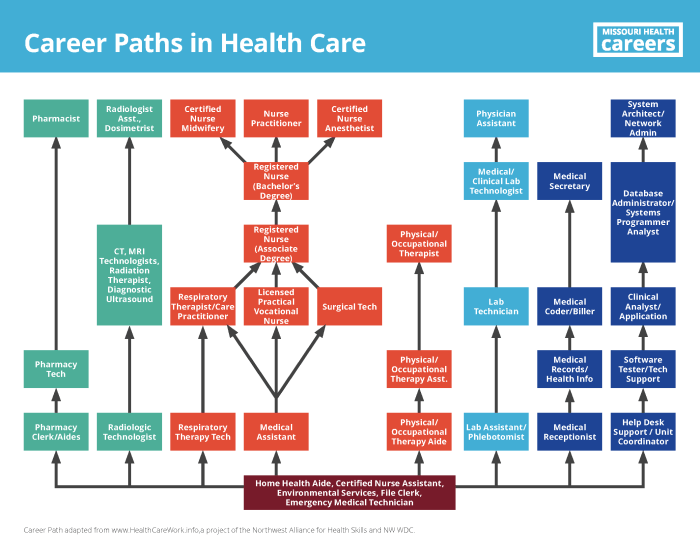 Career Paths in Health Care | Missouri Health Careers Career Paths in Health Care | Missouri Health Careers